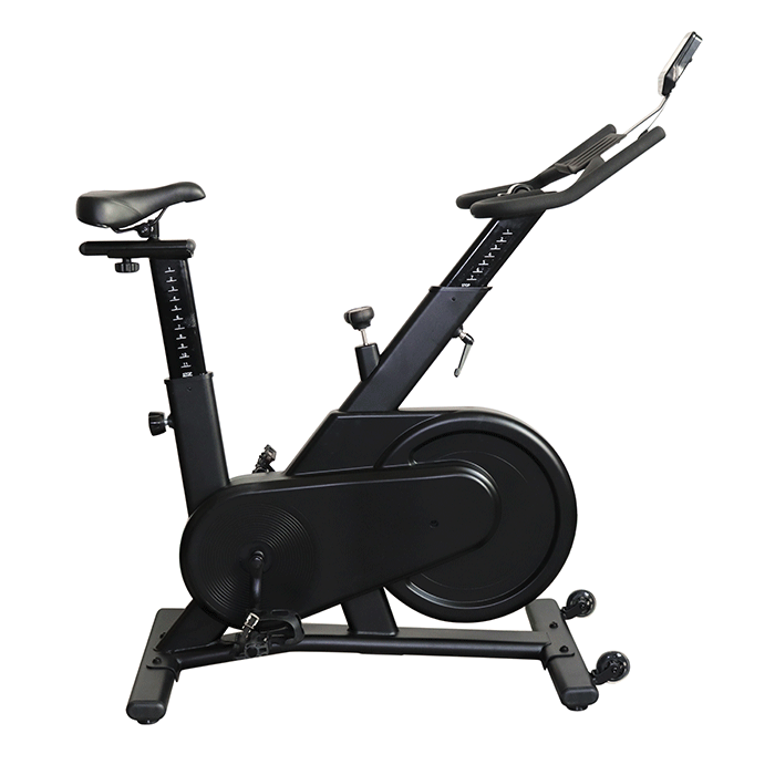 Titan Life Indoor Bike S62 Magnetic