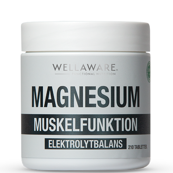 Läs mer om Magnesium 210 Minitabletter