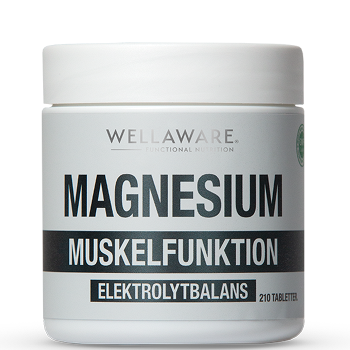 WellAware Magnesium 210 Minitabletter