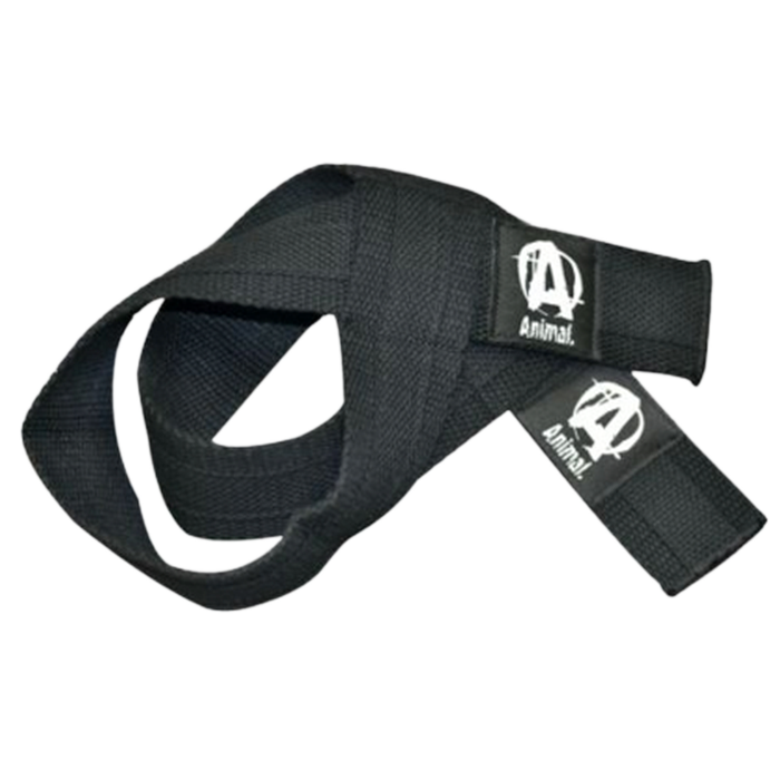 Bild av Universal Lifting Straps, One Size