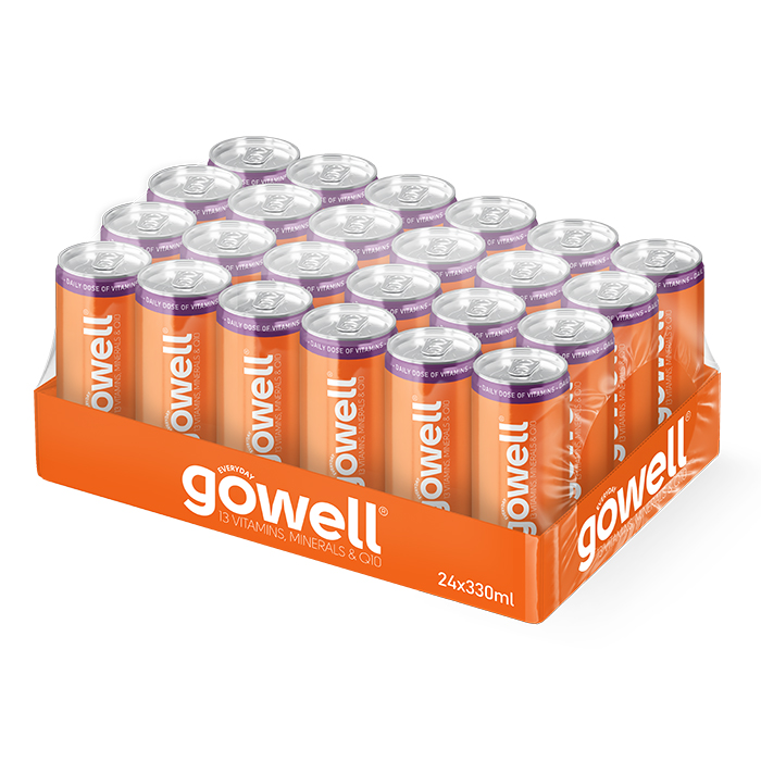 24 x GoWell Funktionsdryck Flak 33 cl